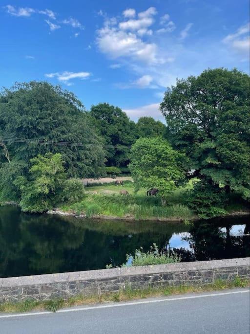 Riverside Retreat Llandysul 外观 照片