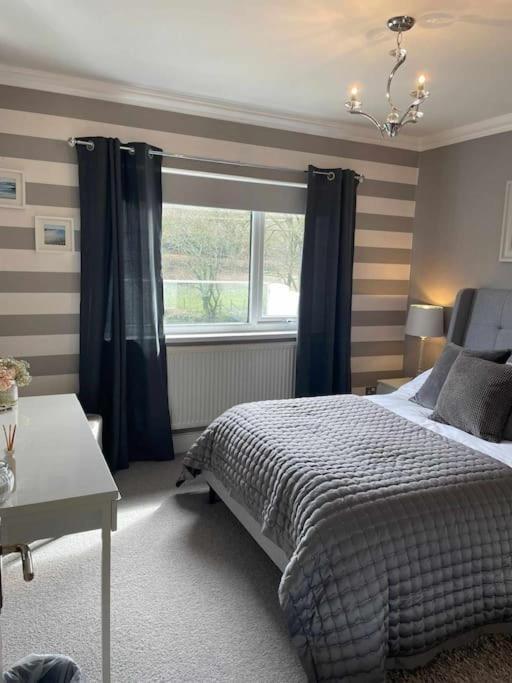 Riverside Retreat Llandysul 外观 照片