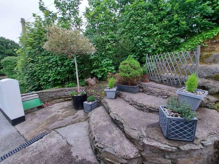 Riverside Retreat Llandysul 外观 照片