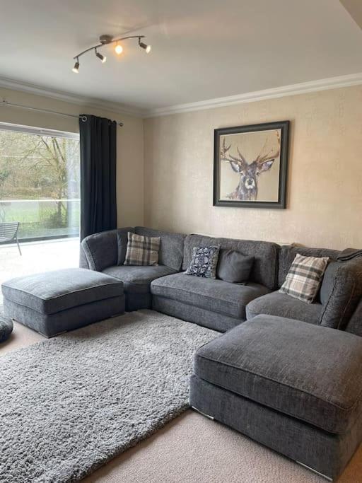 Riverside Retreat Llandysul 外观 照片